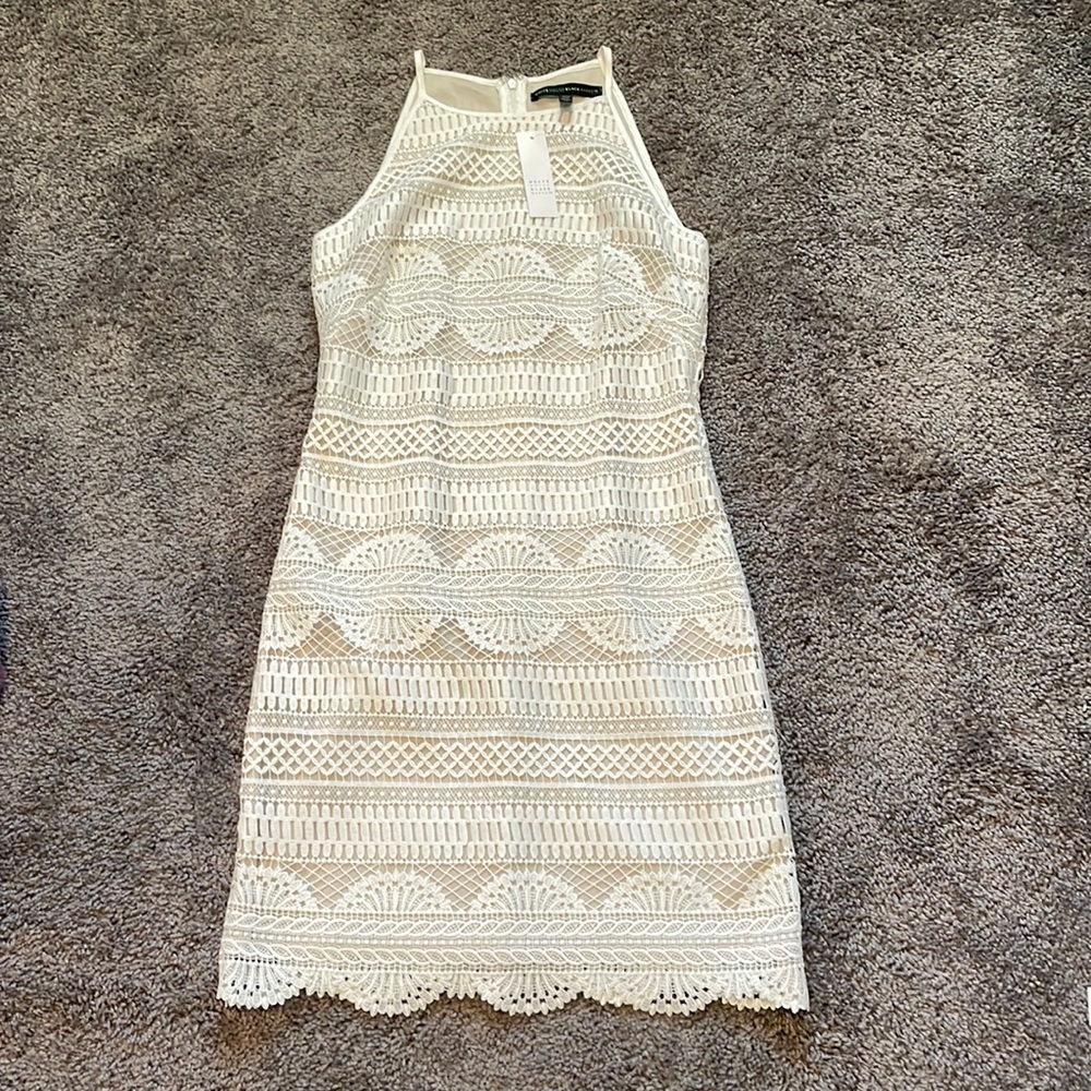White House Black Marker Dress